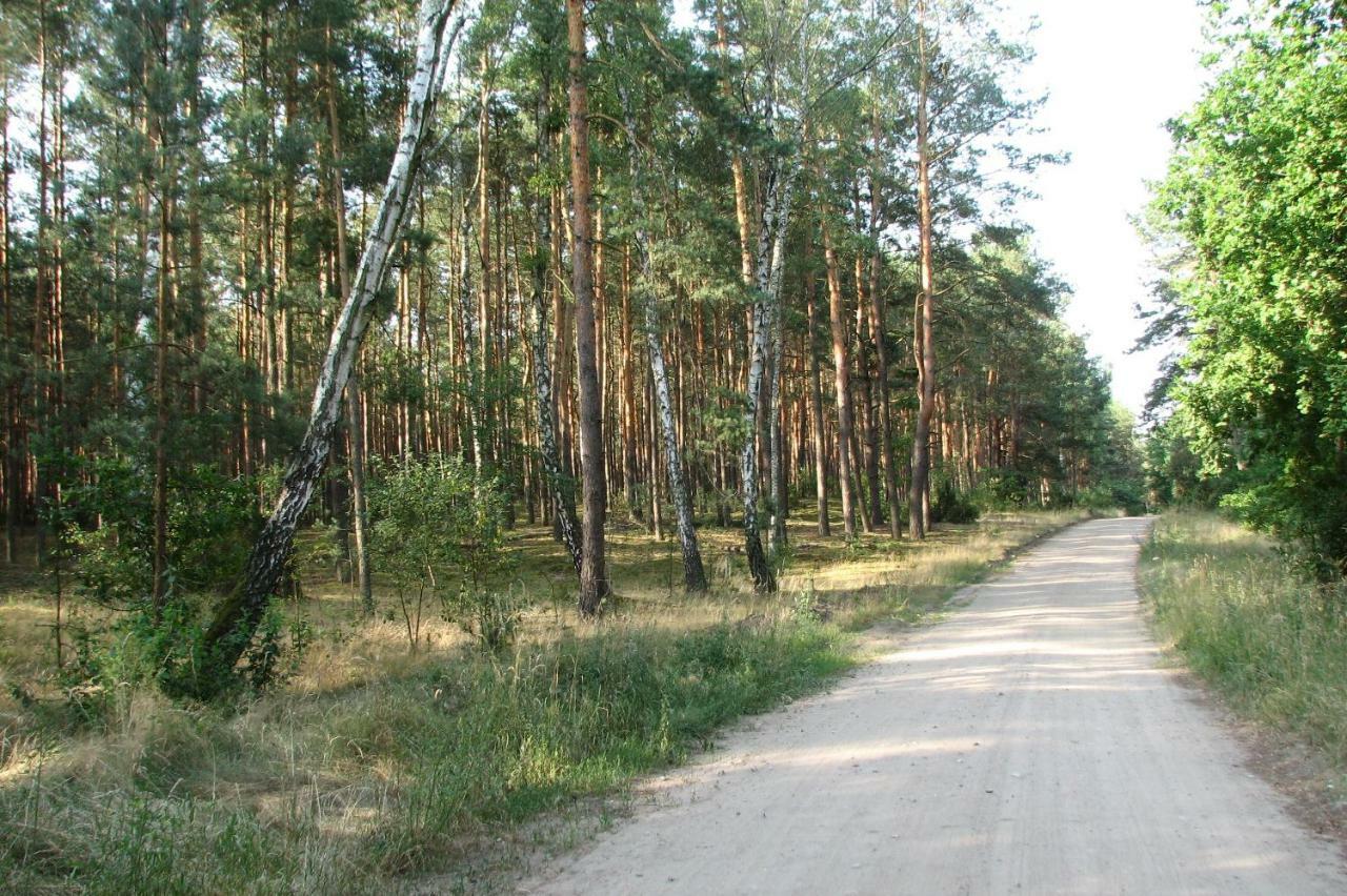Villa Strefa Kampinos Brochów Exterior foto